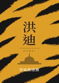洪迪封面