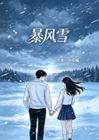 暴風雪封面
