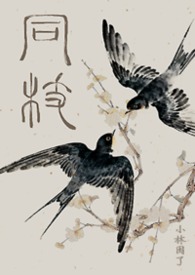 同枝（1v1史同兄妹真骨·嬴政x嬴婼）封面
