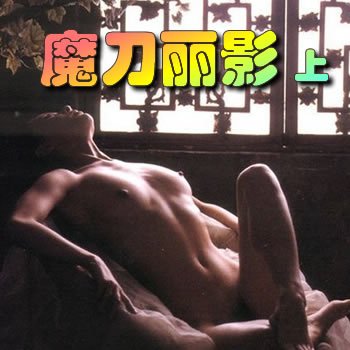 魔刀麗影 上封面
