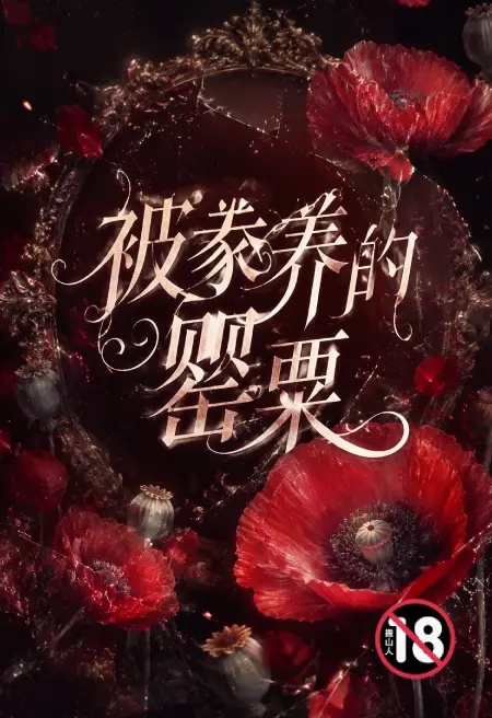 被豢養的罌粟封面