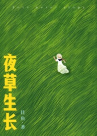 迷亂光陰錄封面