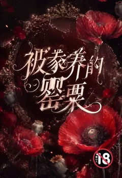 被豢養的罌粟封面