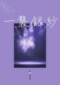一襲銀紗封面
