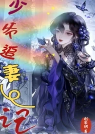 少爺追妻記(1V1)封面