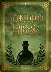 沈迷其中的冒險家（日式西幻，np）封面