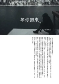 等你回來封面