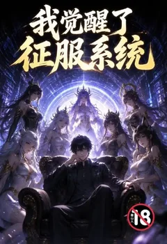 我覺醒了征服系統封面