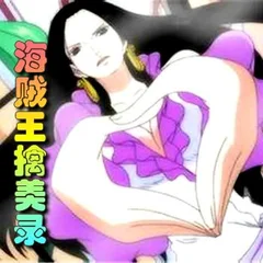 海賊王擒美錄封面