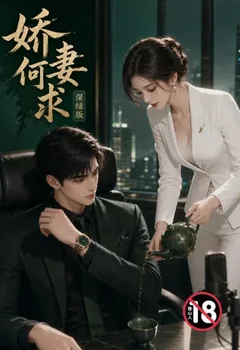 嬌妻何求深綠版封面